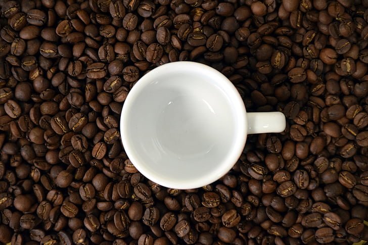 coffee, cup, coffee cup, coffee beans, empty cup, beans, contrast