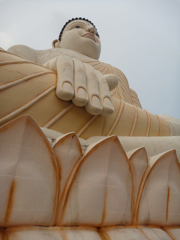 buddha, the statue, buddhism
