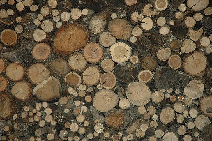 kayu, suku, suku, batang pohon, tumpukan kayu