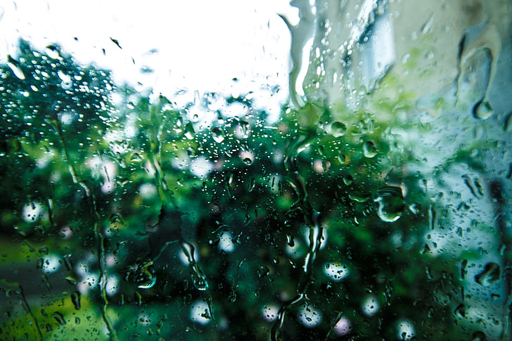Tutup, foto, hujan, drop, kaca, Siang hari, masih