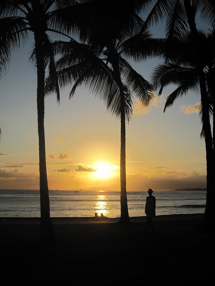 Hawaii, strand, zee, sonnenunergang, palmbomen