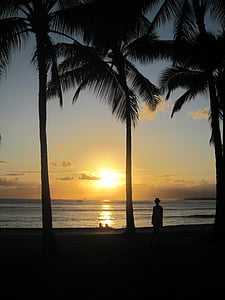 Hawaii, stranden, sjøen, sonnenunergang, palmer