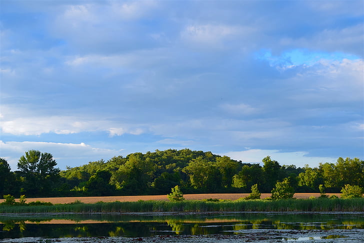 lake, park, trees, nature, landscape, water, scenic