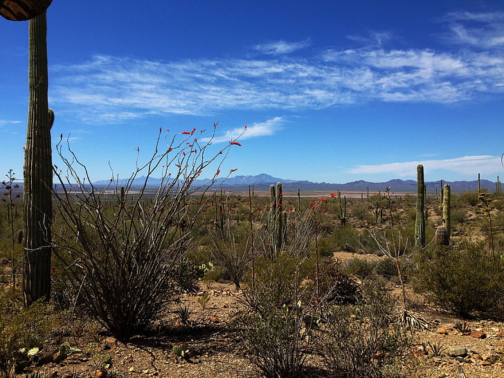 sivatag, táj, sivatagi táj, Arizona, természet tájkép, gyönyörű táj, festői