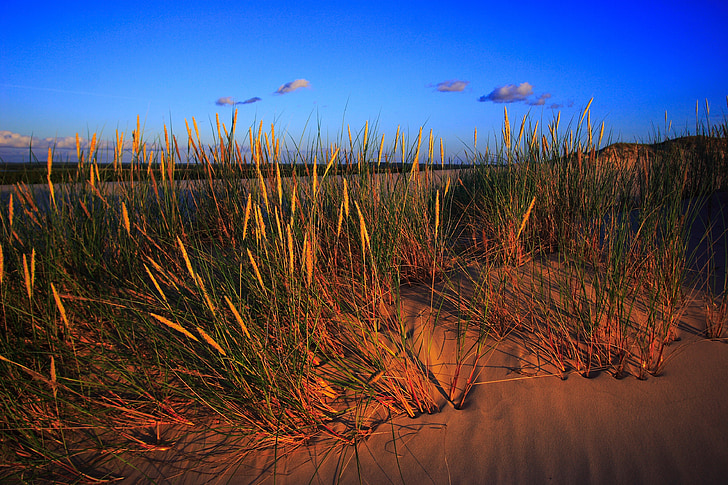les dunes de sable, dune, Parc national Slowinski, sables mouvants Poméranie, czołpino, Czołpin, dune czołpińska