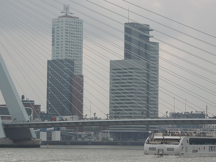 Rotterdam, cidade, Torre, cais, arquitetura