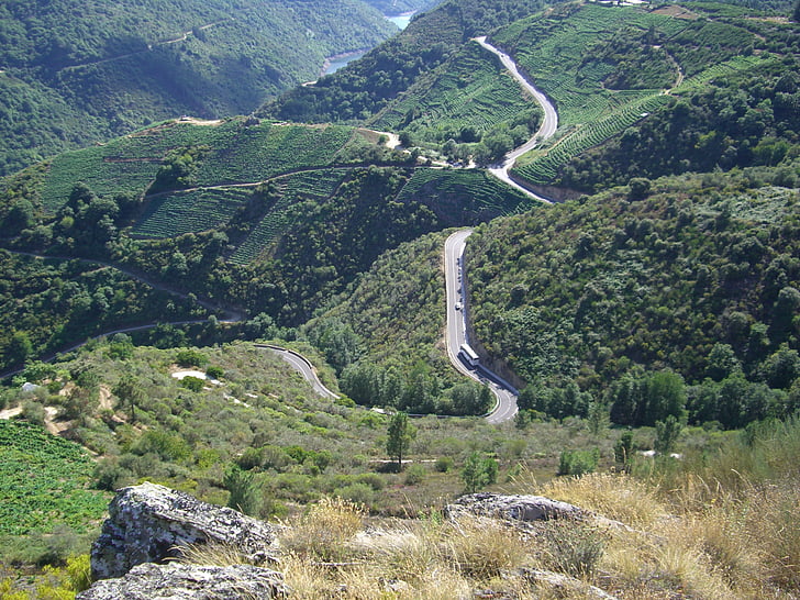 Galicia, hegyi, természet, Ribeira sacra, tájak, táj, Hill