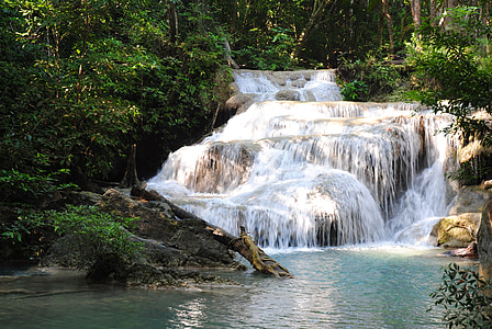cascada, Selva, tranquil, l'aigua, blanc, paisatge, bosc
