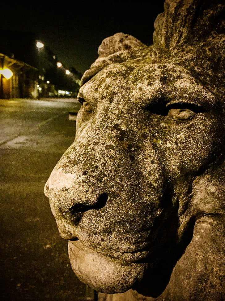 Lion, Amsterdam, statue de, Reiter, cheval, monument, statue équestre