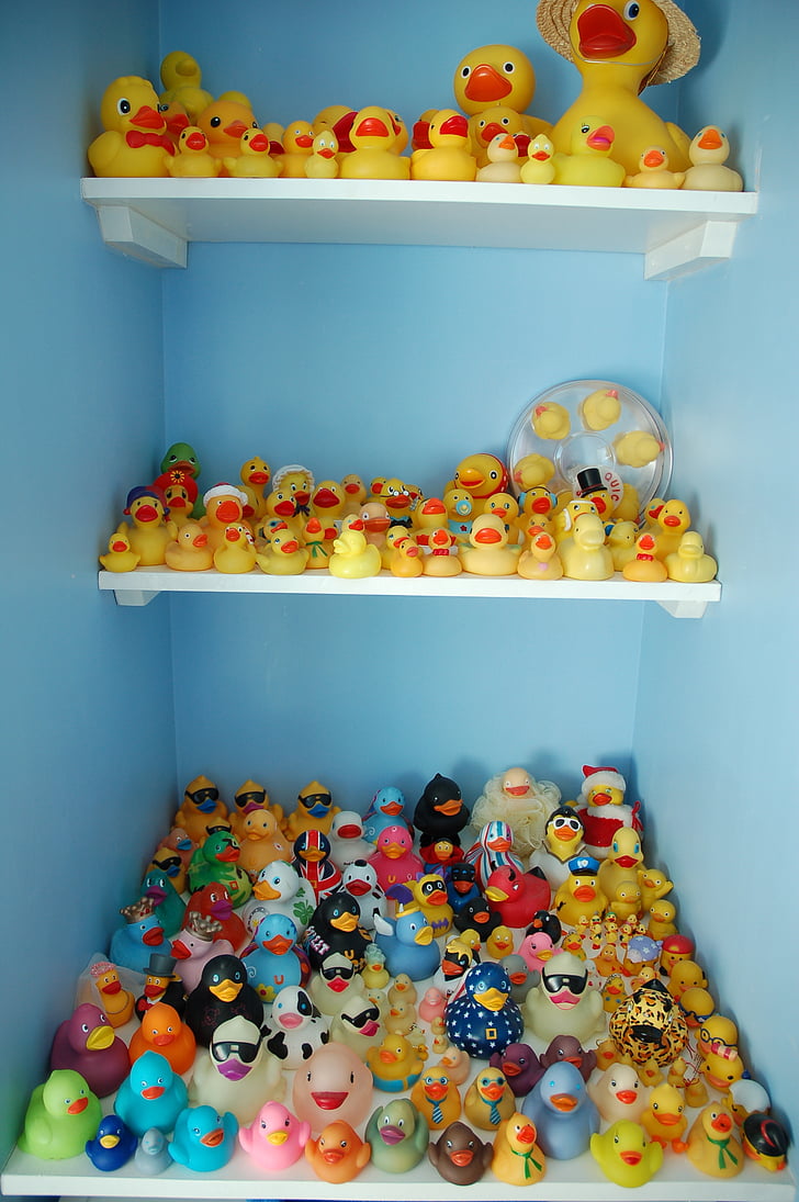 rubber duck, collection, yellow ducks, multi Colored