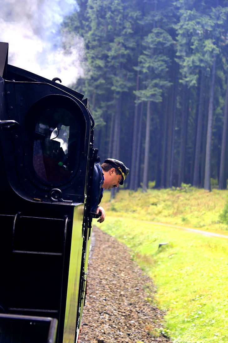 오래 된 기차, 켐 니 츠, 드레스덴, 독일, 기관차, 숲, 좁은 계기 철도