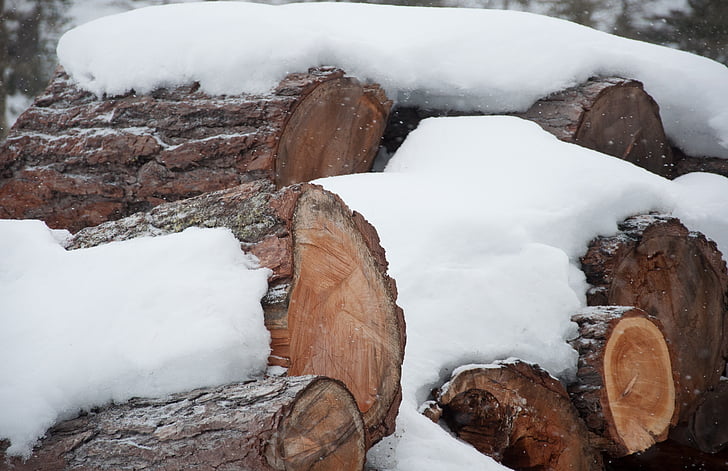 trä, snö, Engadine, vinterlandskap