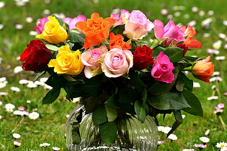 roses, bouquet, flowers, vase, colorful, gift, meadow