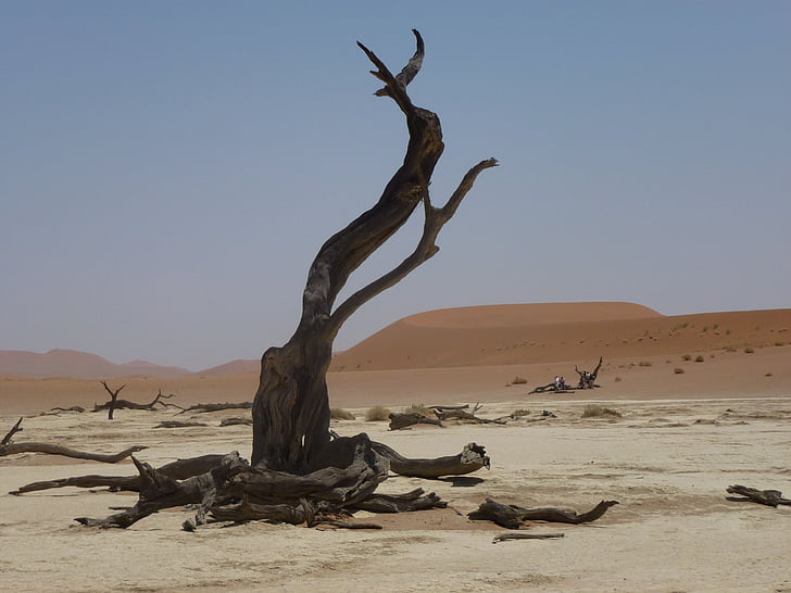 Pustynia, Namibia, krajobraz, podróży