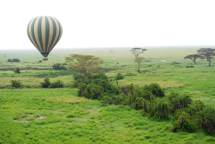 balon, Serengeti, Tanzania, Afrika, pemandangan, gurun, pemandangan