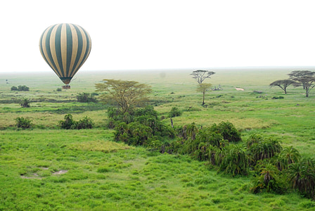 balão, Serengeti, Tanzânia, África, paisagem, natureza selvagem, cenário