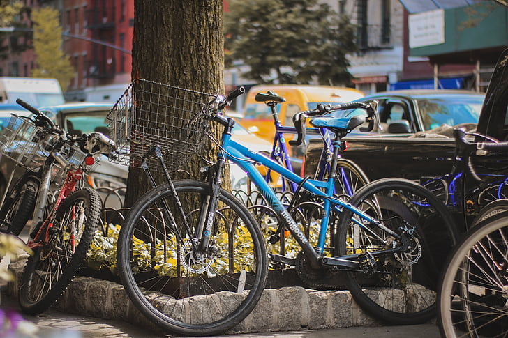 bicicleta, bicicletes, aparcament, fora, arbre, planta, vehicle