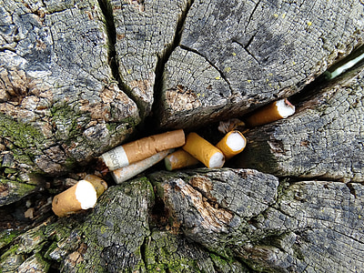 บุหรี่, การขายทิ้ง, ลำต้นของต้นไม้, รอยแตก, แตก, เก่า, ทิ้ง