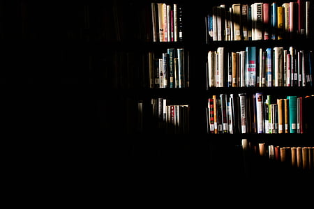 sunlight, shelves, books, library, shadow, bookshelf, book