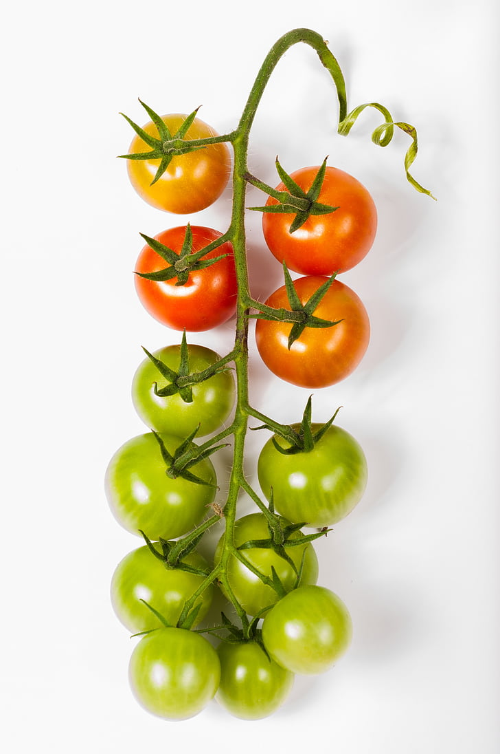 tomato, cherry, tomatoes, bunch, isolated, food, white