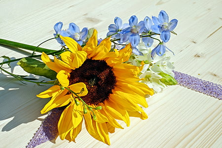 Sun flower, blomst, Blossom, Bloom, gul, sommer, farverige