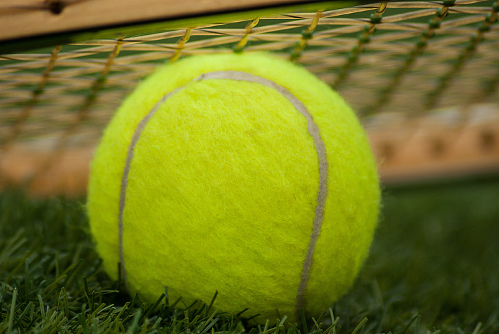 teniških žogic, lopar, tenis, šport, zelena
