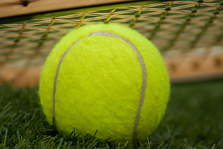 teniska loptica, reket, tenis, sportski, zelena