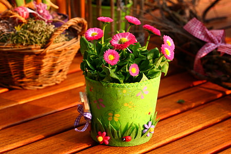 spring, decoration, nature, garden, plant, flowers, spring flowers
