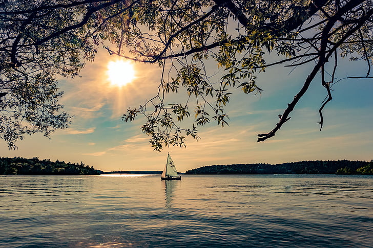 summer, water, archipelago, sunshine, sun, tree, boat