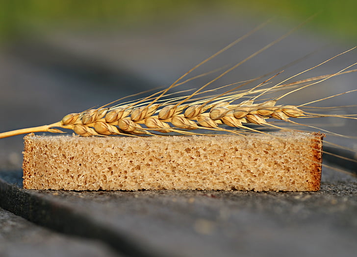 bread, wheat, spikes, fertility, harvest, table, home