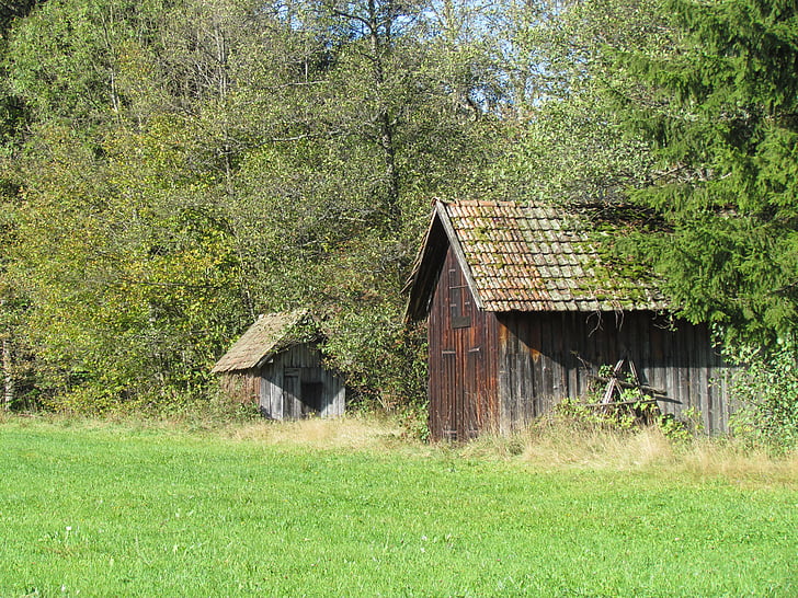 leire-dalen, Schwarzwald, hytta, hytter, eng, grønn, natur