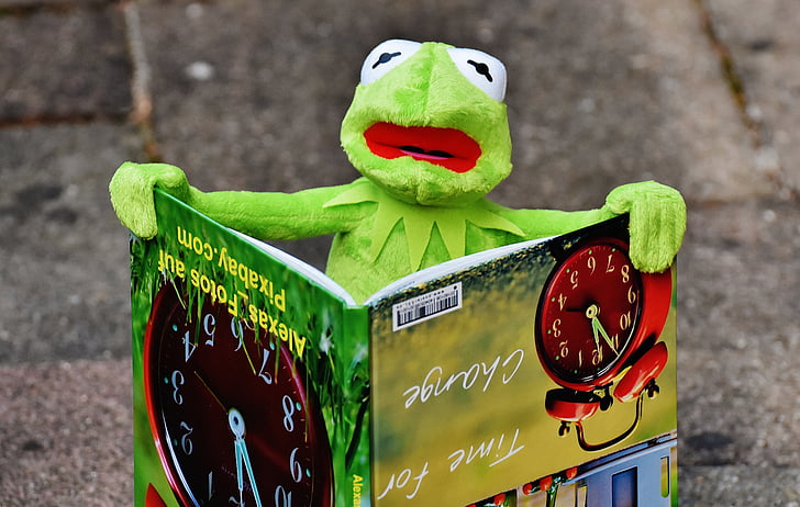 Kermit, boek, prentenboek, Om te kijken, kikker, zitten, Figuur