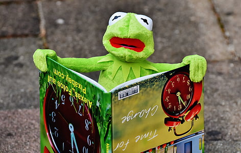 kermit, book, picture book, to watch, frog, sit, figure