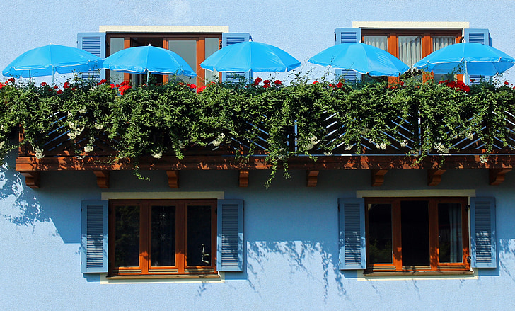 Frontul intern, balcoane, vara, umbrele de soare, fatada, balcon, flori