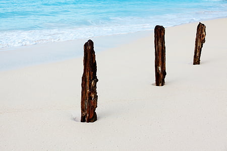 plage, ensoleillée, mer, sable, bâton, eau, bord de mer