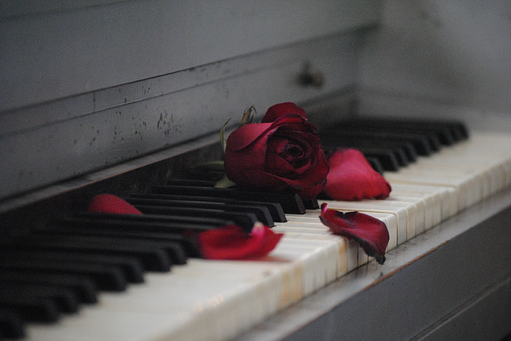 klavir, ruža, Crveni, cvijet, ljubav, romansa, bijeli