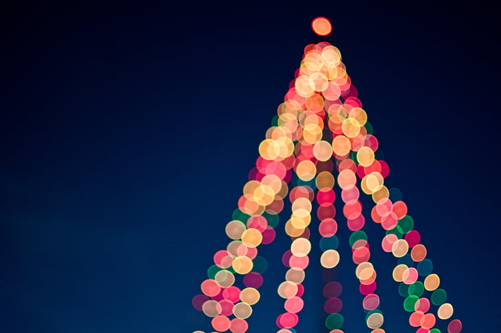 pre, il·luminat, arbre, llums, Nadal, fosc, il·luminació