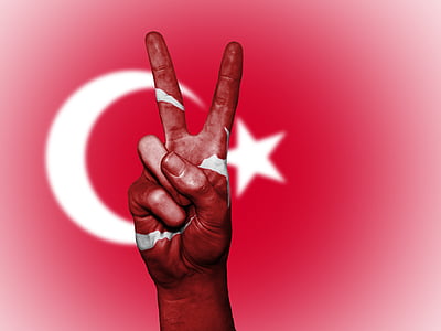 Turek, Turecki, pokoju, ręka, naród, tło, transparent