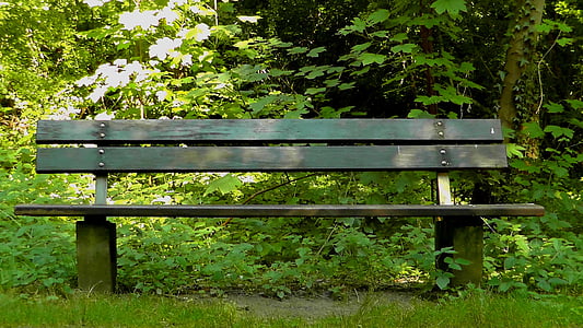 bank, sit, park bench, rest, summer, forest, recovery