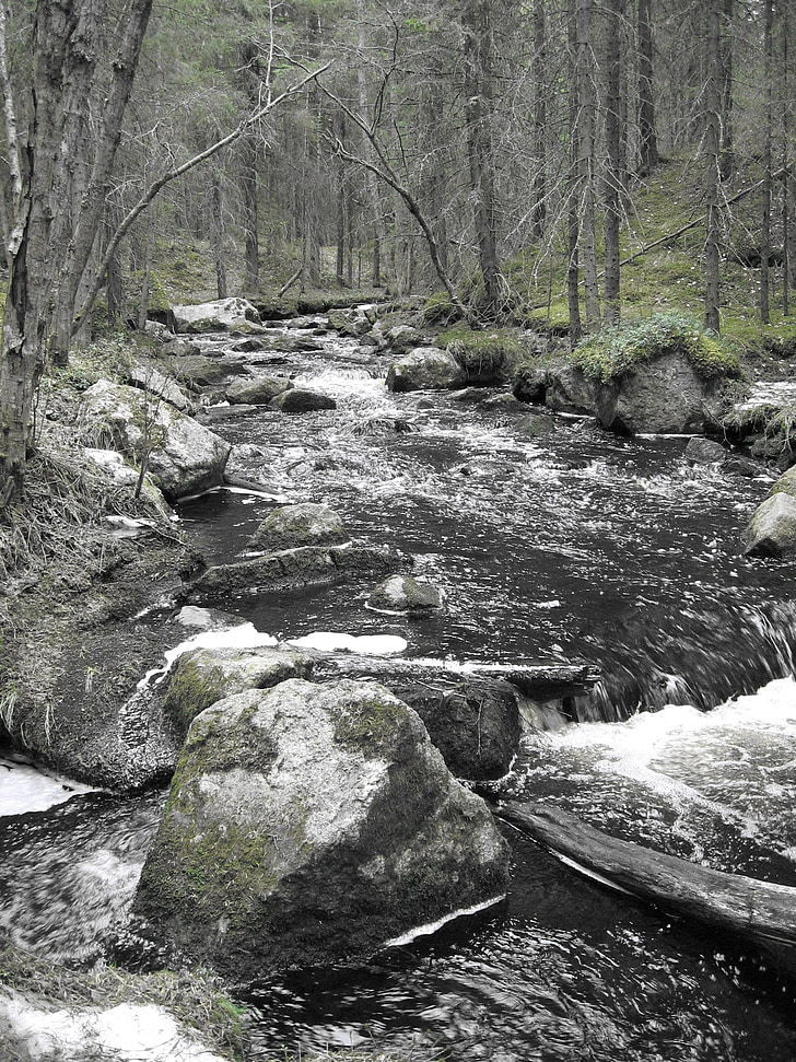 creek, krajobraz, przepływ