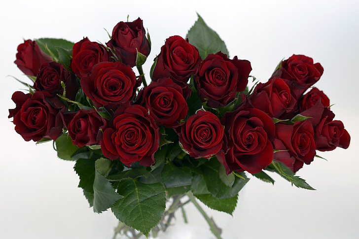 ruža, buket ruža, buket, Strauss, cvijeće, romansa, Crveni