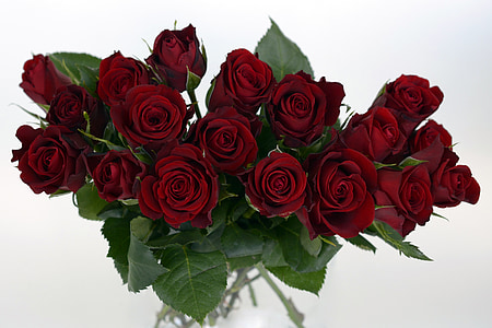 rožės, Rožių puokštė, puokštė, Strauss, gėlės, Romantika, raudona