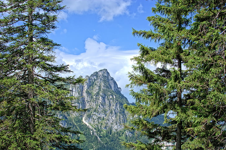krajobraz, Natura, Bawaria, Górna Bawaria, Chiemgau, szczyt, góry
