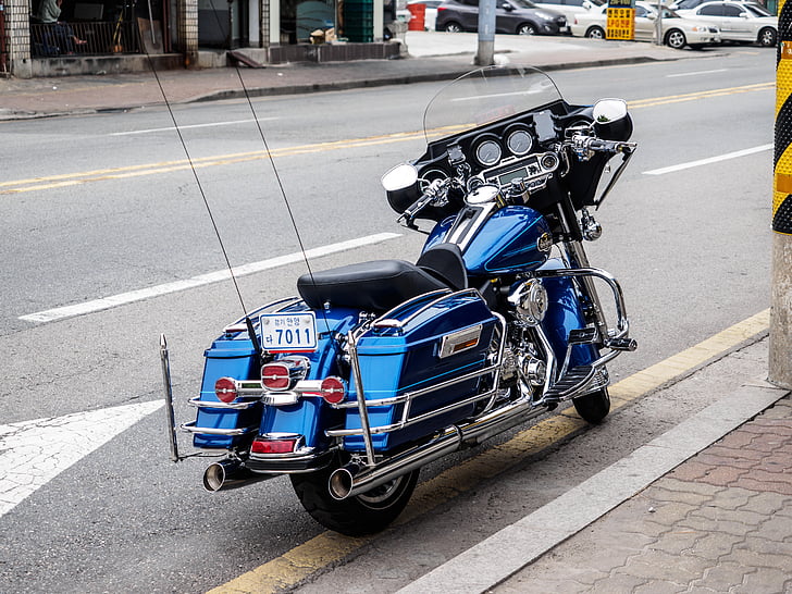 motos, Harley davidson, veículo