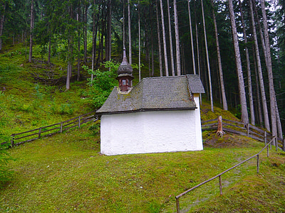 Áustria, paisagem, Igreja, edifício, cerca, floresta, árvores