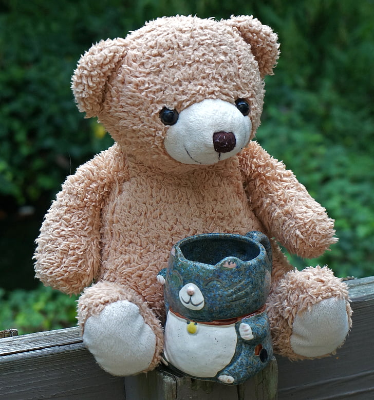 old teddy bear with mug, teddy bear, toy, stuffed animal, mug, kitty mug, cute