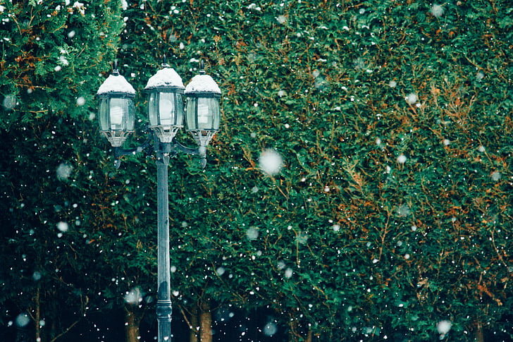 selective, focus, photography, post, lamp, snow, flakes