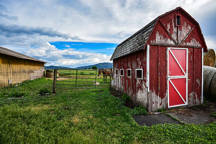 barn, old, horse, pony, country, red, farm