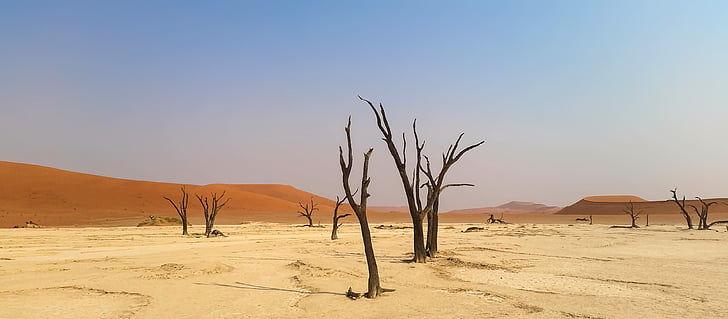 Afrika, Namibia, landskapet, Namibørkenen, ørkenen, sanddynene, sanddynene