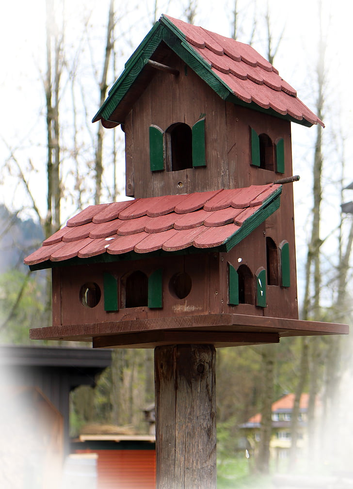 Aviary, burung pengumpan, burung, tempat bersarang, kesejahteraan hewan, pakan, Birdhouse